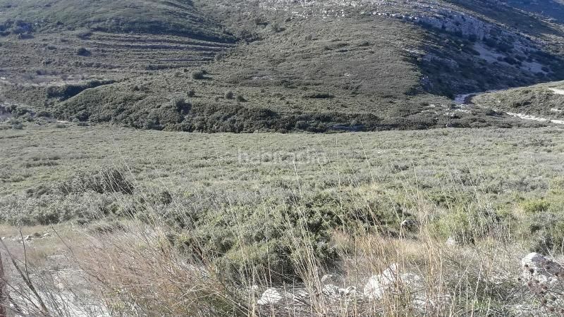 Foto 51564630-4e49-4b2b-b4a9-a134910074e0. Finca rústica a Tírig