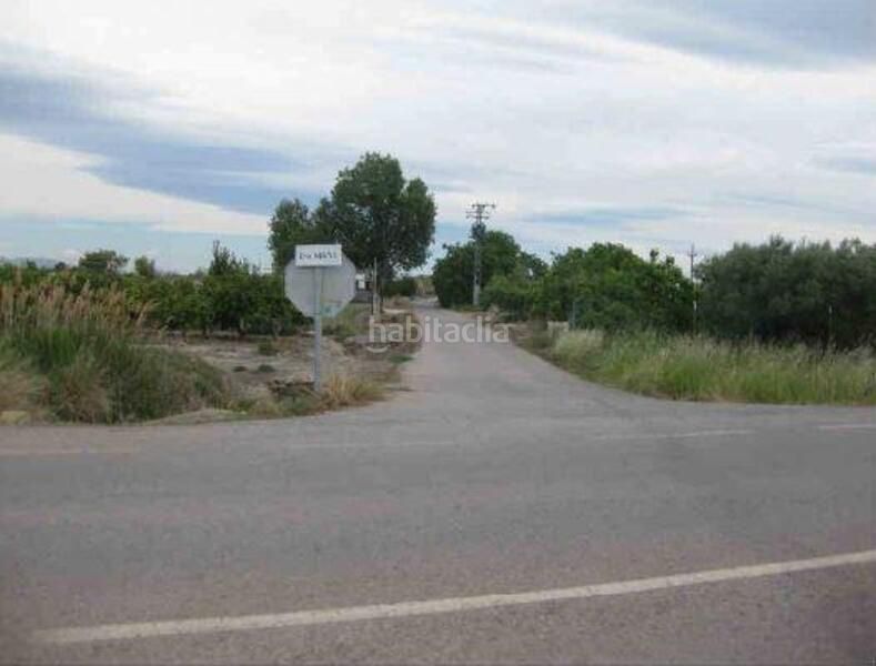 Foto 092e3dd4-e6dd-48c2-9cb9-e4e18ead25a6. Finca rústica a Chilches