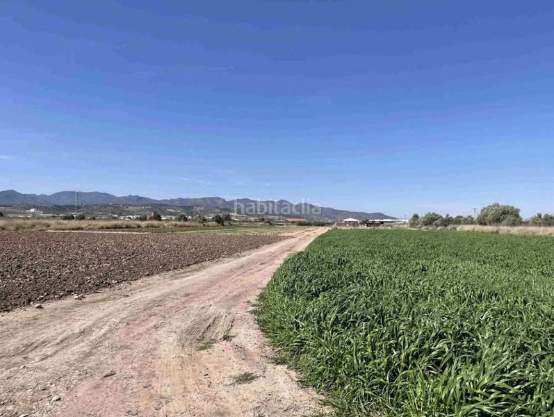 Foto 6a88a2d6-8ee5-4d96-9845-72d8e10c0f94. Finca rústica a Chilches