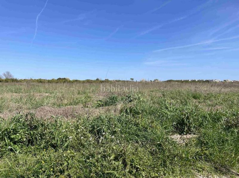 Foto f5c94233-0bd8-4672-9a3e-99821dab7469. Finca rústica a Chilches