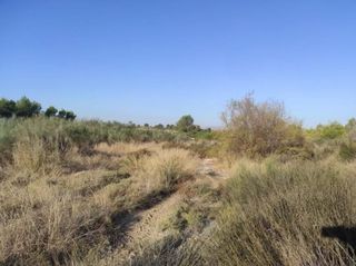 Finca rústica  Benis. Terreno en cieza murcia