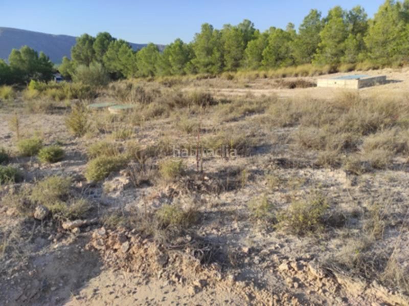 Foto f0e8312d-6e97-41a4-9a3d-03da8fa548fa. Finca rústica a Cieza