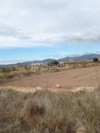 Foto d8671aff-1538-4ddd-a755-e5b7a8c17f82. Finca rústica a Chilches