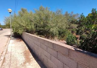 Terreno residenziale in Campos