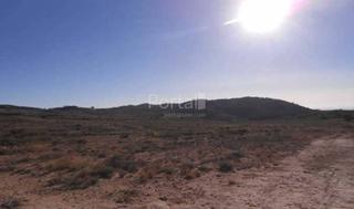 Residential Plot in Tibi