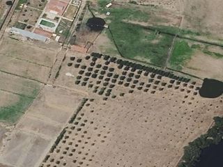 Flat in N/A