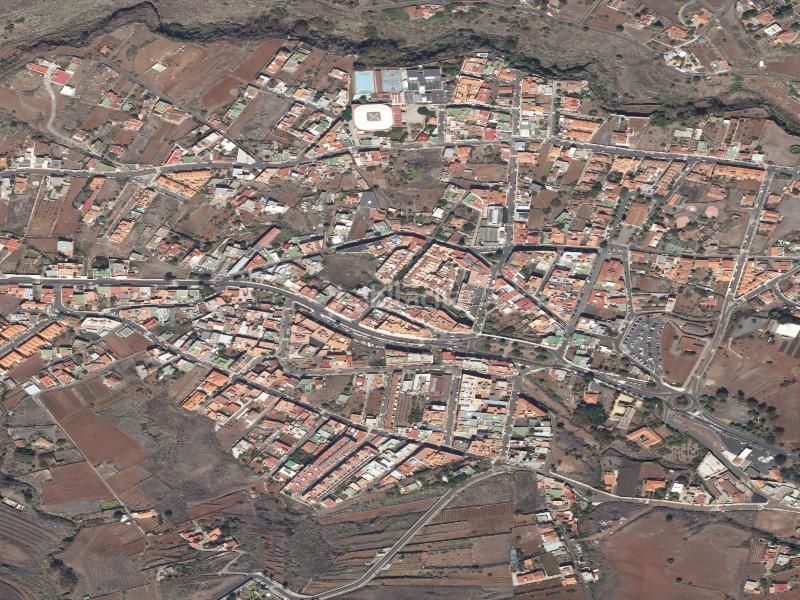 Foto 0ddb96ba-a8dd-4160-be9a-ed0d2af627e5. Pis a Tegueste