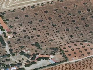 Wohngrundstück  Diseminado. Terreno en diseminado en alhambra, ciudad real
