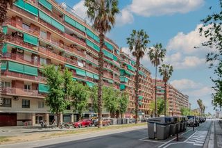 Pis a Paseo Zona Franca