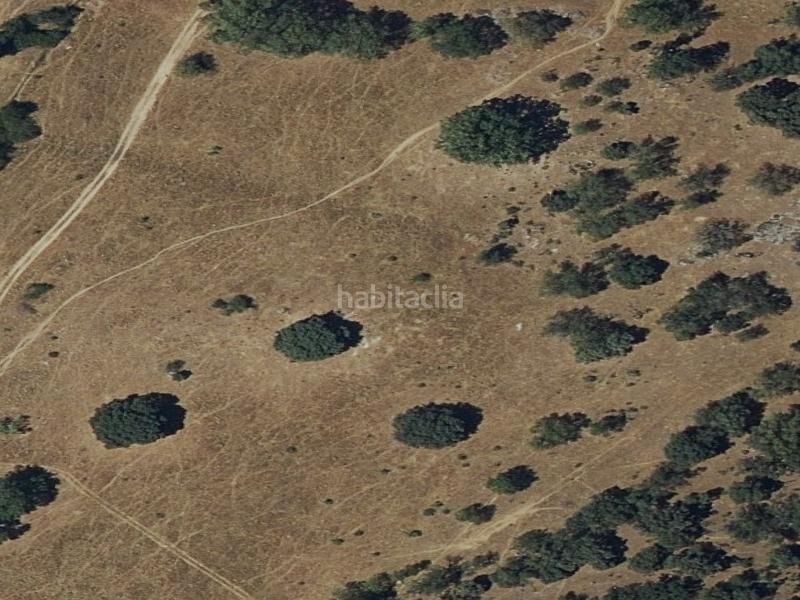 Foto 31f1d8a3-4f84-411a-a615-1cc103153aef. Pis a Robledo de Chavela