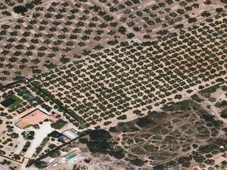 Etagenwohnung  Camino aixemoreres, d'. Piso en camino aixemoreres, d en reus, tarragona