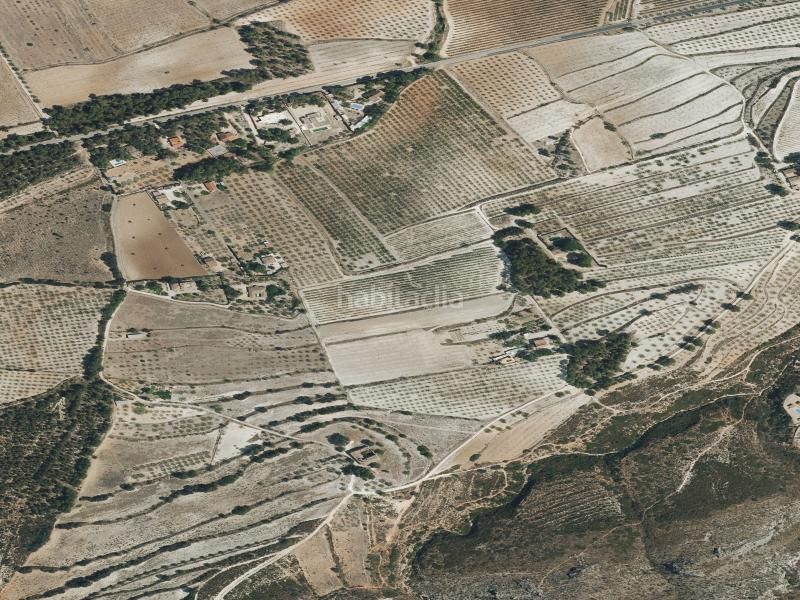 Foto c8a29bd1-6697-40a3-bd35-13ef0124903b. Pis a El Llombo Ontinyent