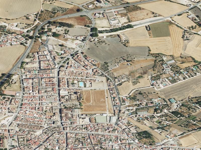 Foto bfab1bc4-9619-4b7c-aea2-db828e1ee830. Pis a Bornos