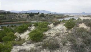 Wohngrundstück  Lugar paraje carrasquilla, los collados y coto de. Suelo rústico en lugar paraje carrasquilla, los collados y coto
