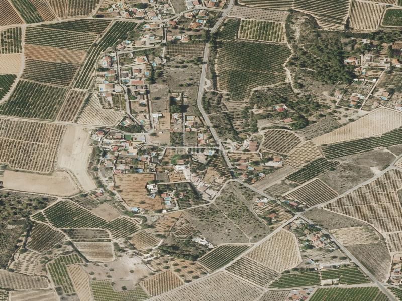 Foto 60b30903-76c9-4d50-acaf-5b334aedb1c5. Pis a Godelleta