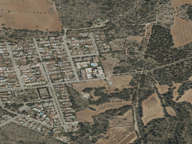 Foto 7a35dadb-0c88-46a5-ad95-8427de409c31. Pis a Ses Palmeres Llucmajor