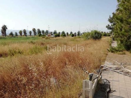Foto 671b6776-d46e-4294-9a0d-947d98838a1d. Terreny residencial a La Torre-Playa de Chilches Moncofa