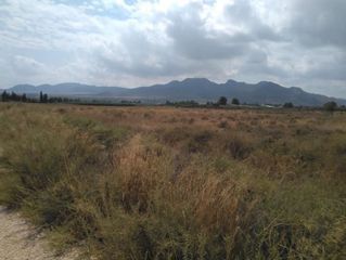 Terreny residencial  Camino de murcia. Suelo otros en camino de murcia, jumilla