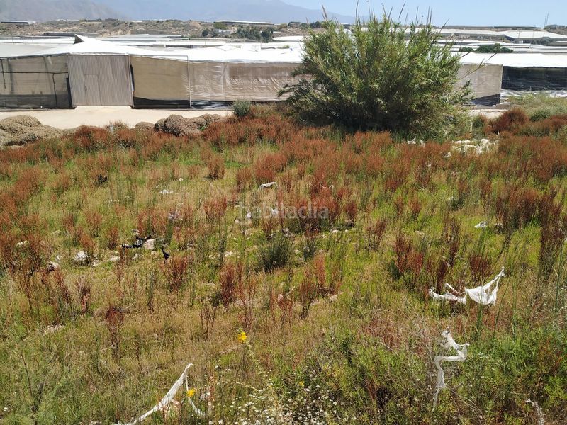 Foto b33ff345-c33e-4e59-ad73-ce3f21440525. Terreny residencial a Balerma Ejido (El)