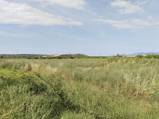 Terreno residencial  Vall farta la 36. Venta de urbanizable residencialtr en alcàntera de xúquer