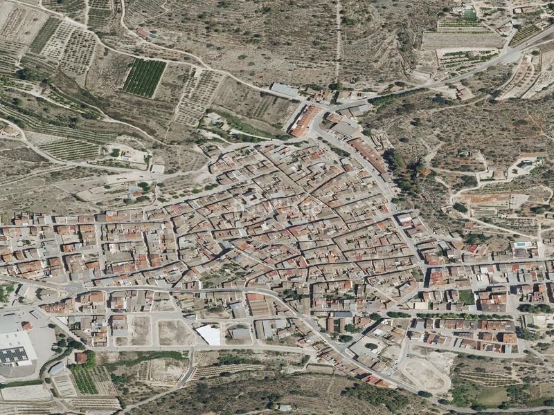 Foto 833bc812-e4cf-4fa3-af4c-8326492d7c1b. Pis a Llutxent