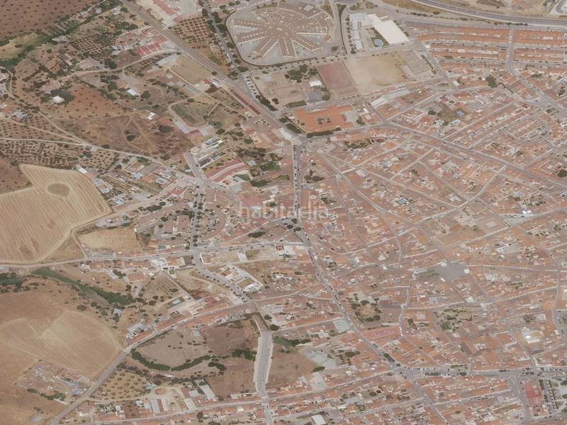 Foto e897219b-268d-4bd6-8dcf-ef86573053a1. Pis a Zafra