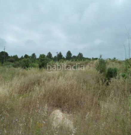 Foto c9c82b7e-04f1-42bf-ad8c-1a932299ff6a. Terreny residencial a Catllar (El)