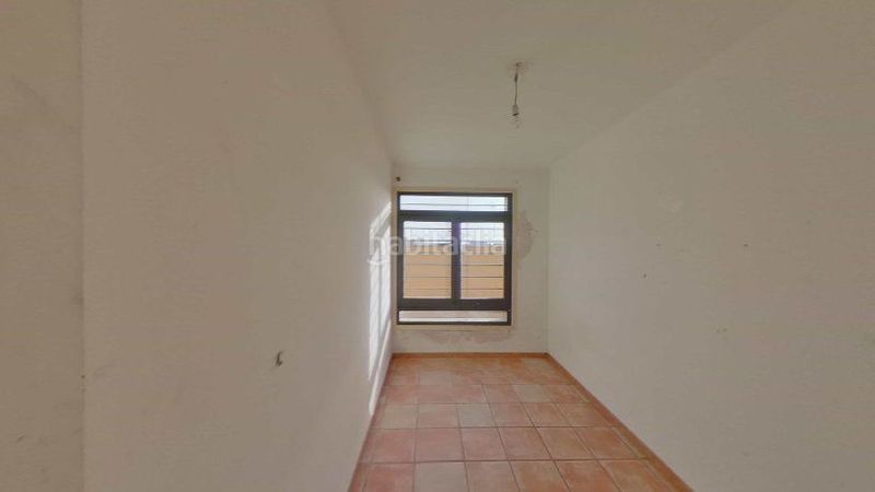 Foto 563feea1-37ef-41fe-a7ce-19af310ae129. Pis a Els Pins Blanes