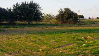 Rural plot  Lugar la mariana y el cortijo. Finca rústica en venta en lugar la mariana y el cortijo