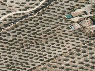 Terreno residenziale  Nan. Crédito con lote de 6 inmuebles en jaén