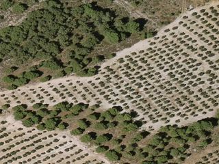 Terreny residencial  Nan. Crédito con lote de 12 inmuebles en pulianas, granada