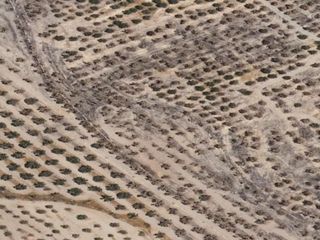 Wohngrundstück  Cañada lugar cercado llamado de los dolores, pa. Solar en cañada lugar cercado llamado de los dolores, pa en baza