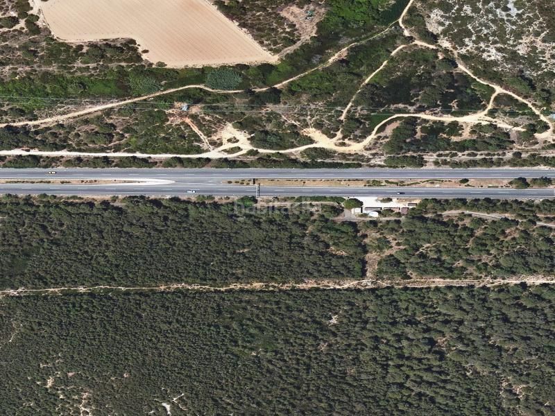 Foto 50a2647f-6c52-45bf-9d14-129d2a74f68f. Pis a Mas Mel Calafell