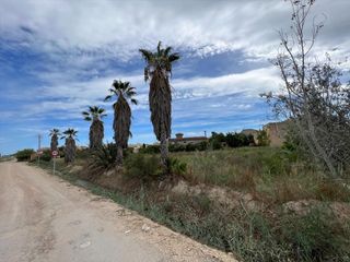 Terreno residencial  Lluis companys. Terreno en deltebre tarragona