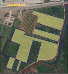 Terreny residencial a Paraje Palmar O Alberca