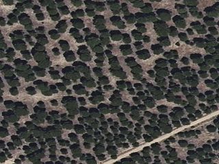 Terrain résidentiel  Sector sued-10 paraje la china finca a-1. Terreno en venta en tordesillas