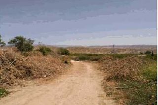 Residential Plot  Pedregal polig.4 123. Venta de urbano residencialtr en illar