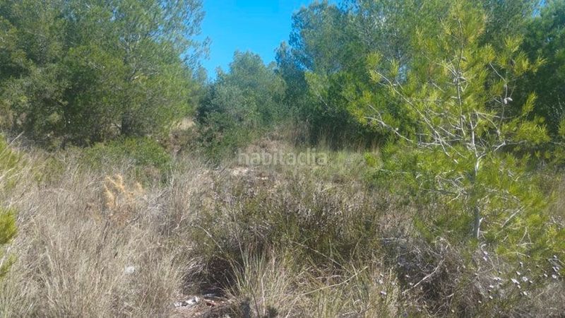 Foto 41c5b151-ef32-412a-867c-0db89c640291. Terreny residencial a Cunit residencial Cunit