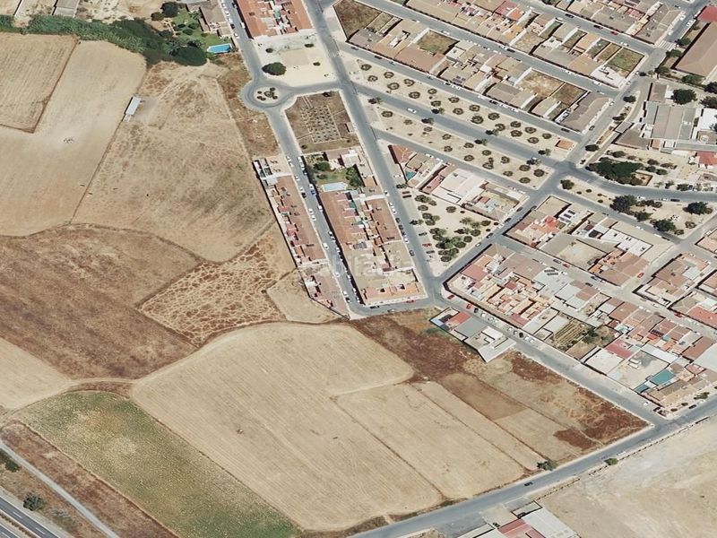 Foto 8f44f5f9-82b2-456f-a93a-3a7927570ffe. Pis a Almonte Almonte