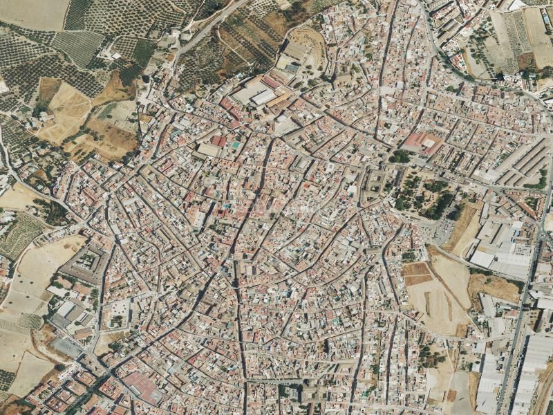Foto ae05f956-2331-47e7-9686-4bfd5b671bb5. Pis a Montilla