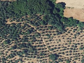 Pis  El lagar de las almentas. Inmueble en venta en cazalla de la sierra