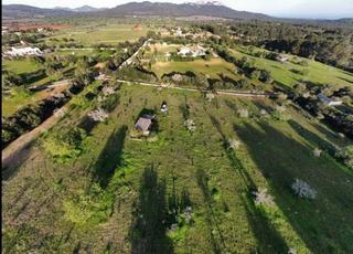 Terreny residencial a Felanitx Poble