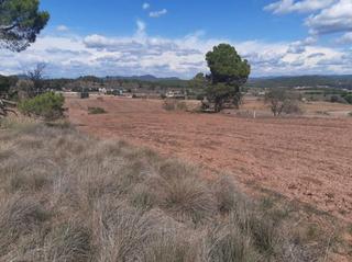 Terrain résidentiel à Sant Fruitós de Bages