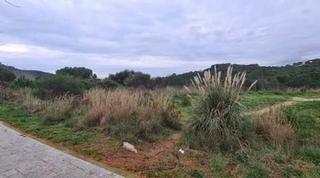 Terreny residencial a Sils