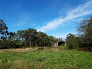 Rural plot in Cudillero