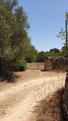 Terreny residencial a Algaida
