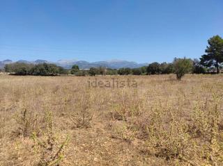 Residential Plot in Sencelles