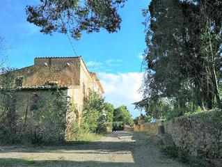 Mas à Alaró