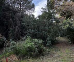 Terreny residencial a Rosamar
