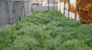 Terreny residencial a Mas Baell-Can Carbó